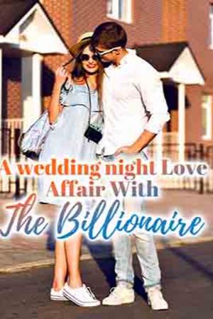 A wedding night Love Affair With The Billionaire