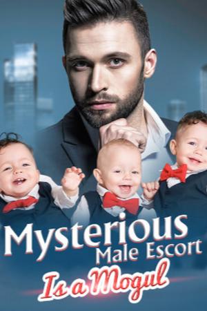 Mysterious male escort is a mogul