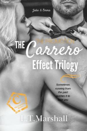 The Carrero Effect - Falling for the Boss (Billionaire CEO)
