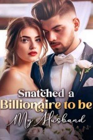Snatched a Billionaire to be My Husband